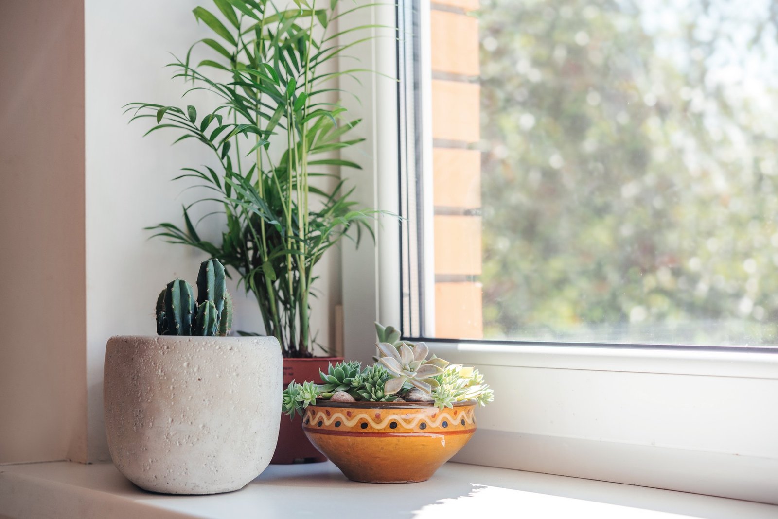 Feuchte Fensterbank mit Schimmelflecken