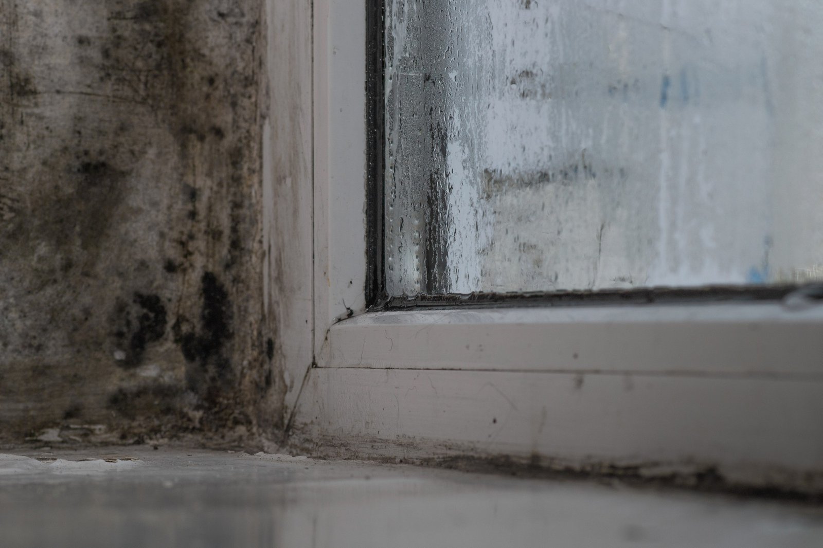 Schwarzer Schimmel am Fensterrahmen